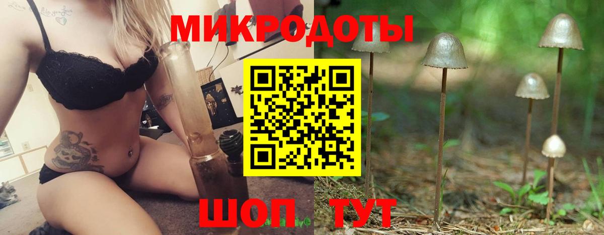 Галлюциногенные грибы мухоморы Апатиты