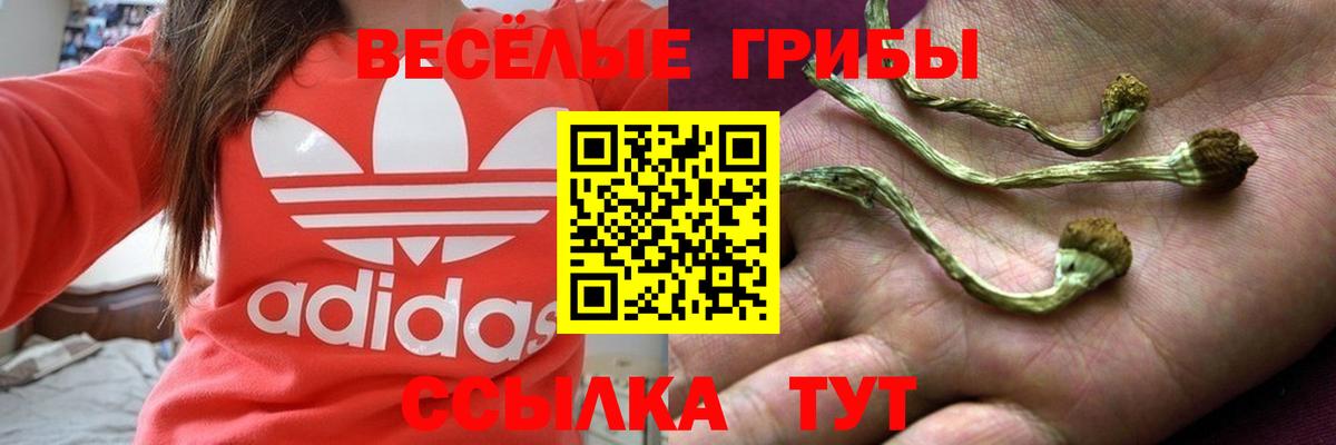 Апатиты  Псилоцибиновые грибы Psilocybine cubensis  Вход с VPN 